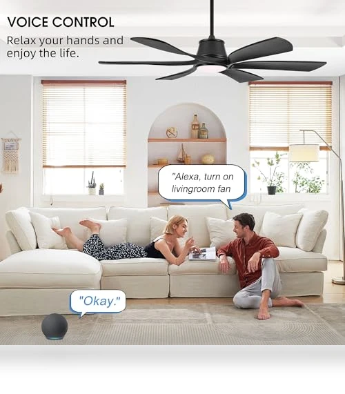 Smart Ceiling Fan with Light — Overhead Lighting, LEDLUX
