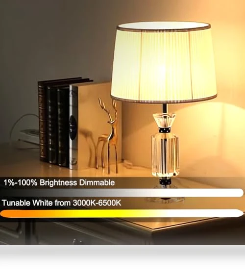 Smart Light Bulb with Remote Control — LED, GRV
