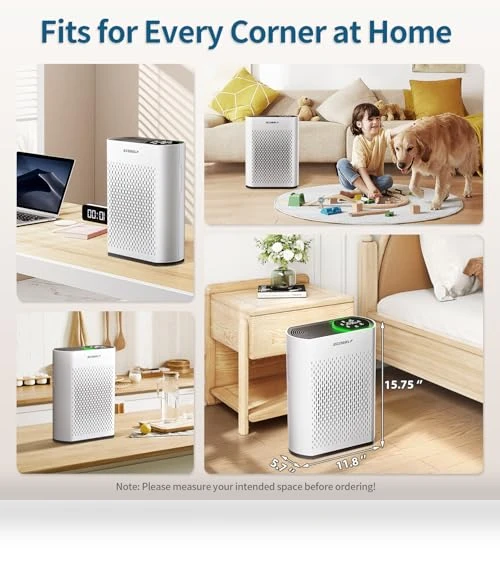 Air Purifier for Large Rooms — Activated Carbon Air Purifiers, ECOSELF