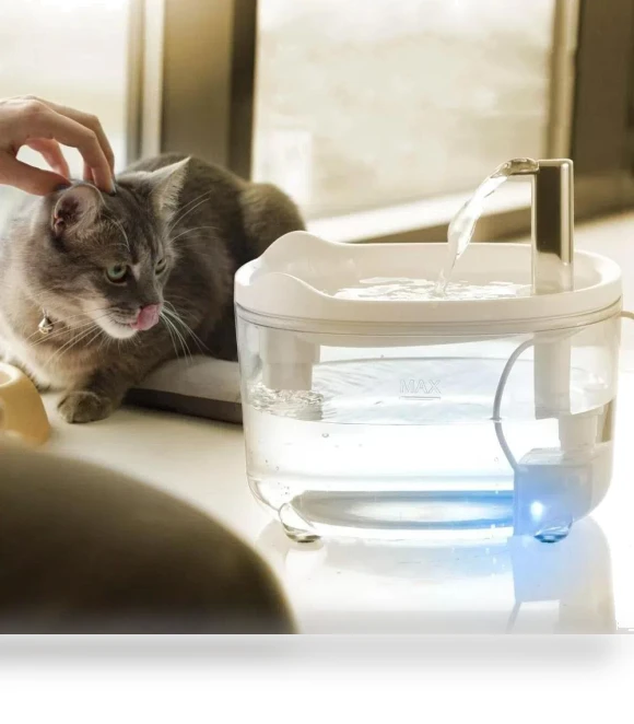 Automatic Cat Filter, Silent Pump Water Bowl — Feeders, Jinkuinduy
