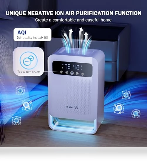 Dehumidifier With Air Purifier — Air Moisture Control, FRIZZLIFE