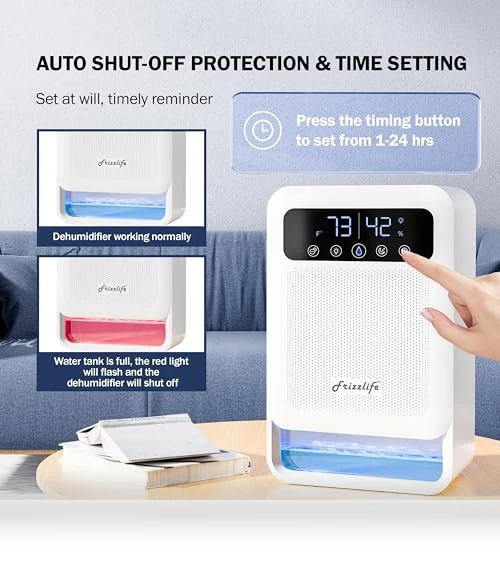Dehumidifier With Air Purifier — Air Moisture Control, FRIZZLIFE