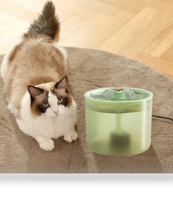 Electric Cat Water Fountain — Pet Hydration Solutions, Fujeenn