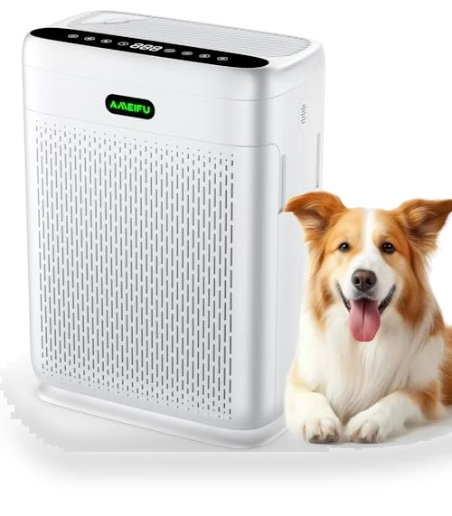 Large Room Air Purifier — Activated Carbon Air Purifiers, AMEIFU