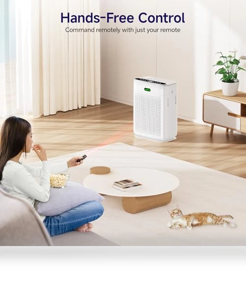 Large Room Air Purifier — Activated Carbon Air Purifiers, AMEIFU