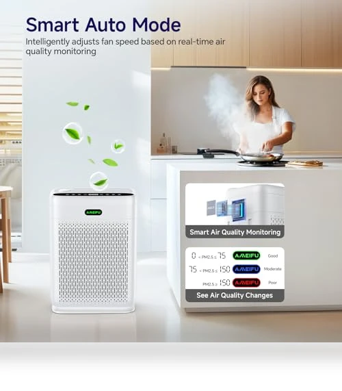 Large Room Air Purifier — Activated Carbon Air Purifiers, AMEIFU