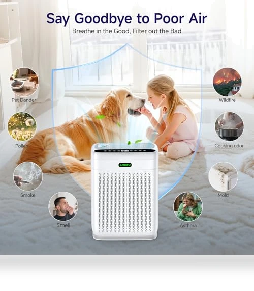 Large Room Air Purifier — Activated Carbon Air Purifiers, AMEIFU