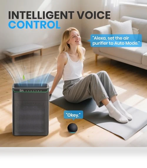 Smart Air Purifier — Activated Carbon Air Purifiers, FLANUR