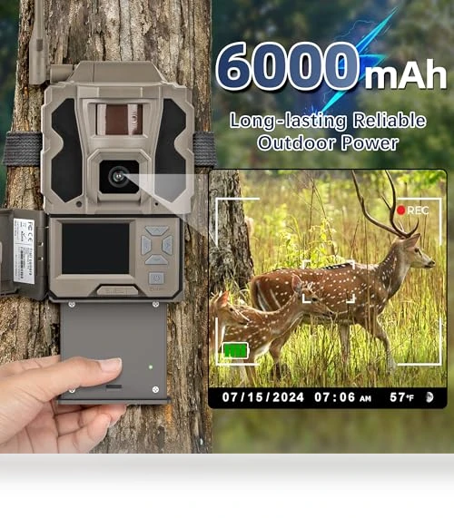 Rechargeable Hunting Camera Battery — Batteries, Lesaps