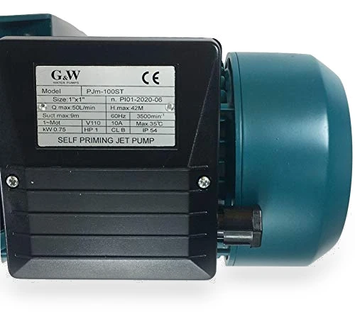 Shallow Well Jet and Booster Pump with Smart Controller — Well Pumps, G&W