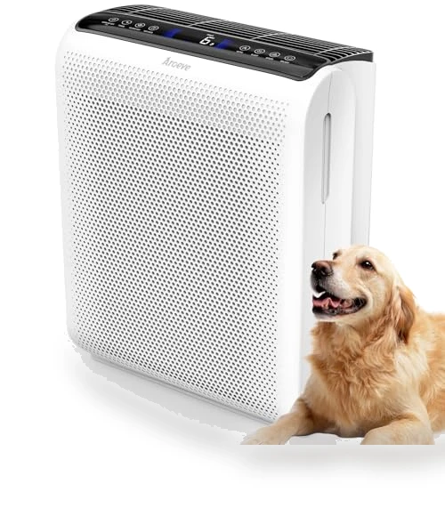Air Purifier for Large Rooms — Activated Carbon Air Purifiers, AROEVE