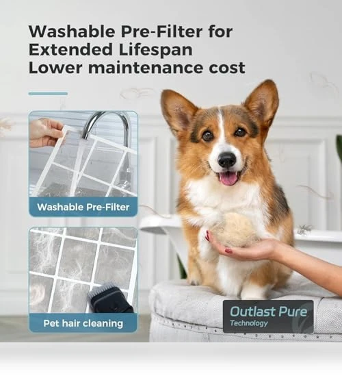 Air Purifier for Large Rooms — Activated Carbon Air Purifiers, AROEVE