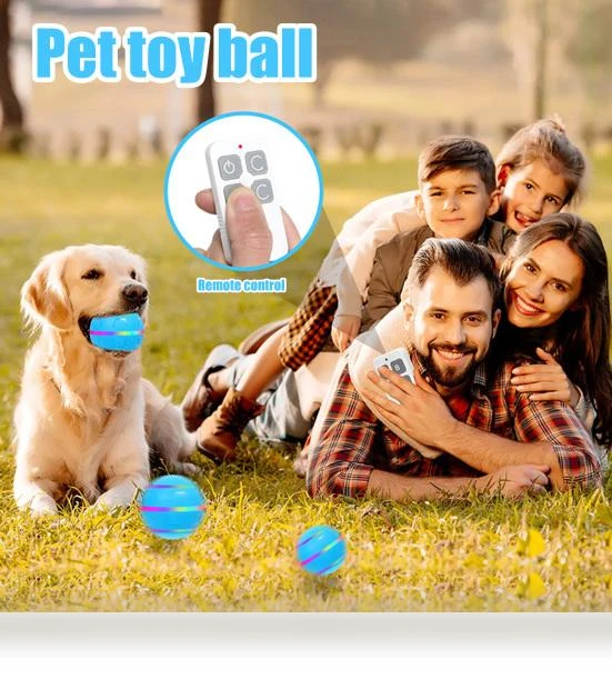 Electric Rolling Ball Toy for Dogs — Automatic Launchers, fanweixi