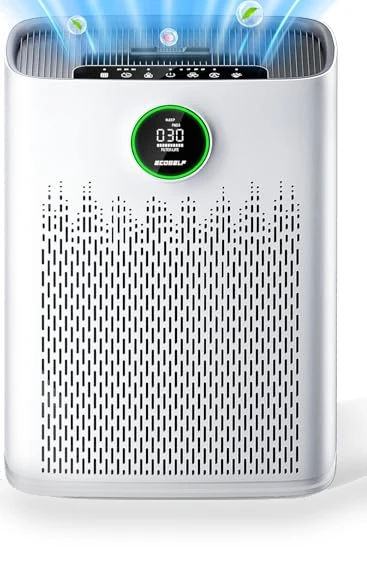 Smart Air Purifier for Large Rooms — Activated Carbon Air Purifiers, ECOSELF