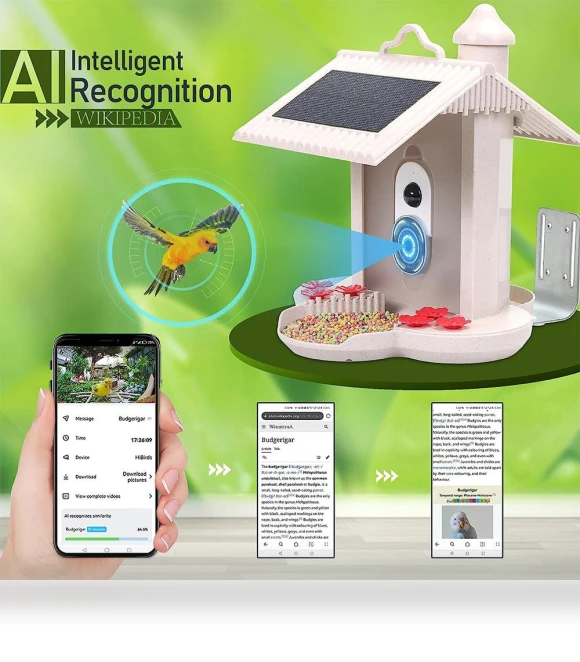 Smart Bird Feeder Camera — Outdoor & Wildlife Cameras, Aamazing