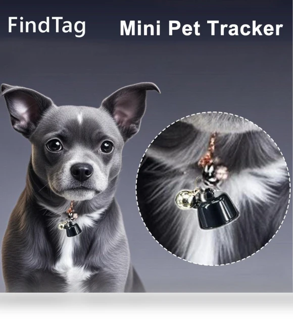 Smart Pet Collar — Trackers, Didadi 2