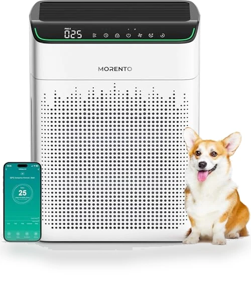 Air Purifier for Large Room — Activated Carbon Air Purifiers, MORENTO