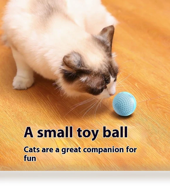Automatic Rolling Ball Pet Toy — Interactive Animal Companions, Wotypea