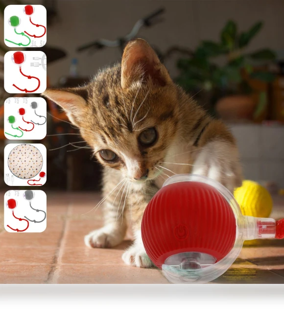 Interactive Cat Toy Ball — Cat Playthings, AE Selection