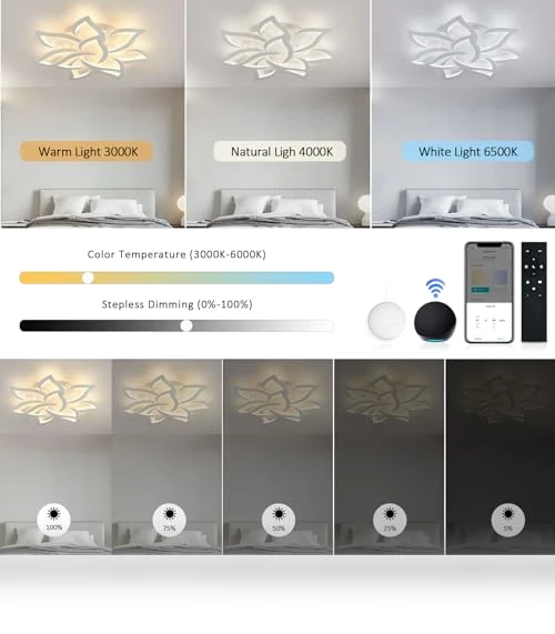 Smart Ceiling Light Fixture — Overhead Lighting, SKY ANGLE