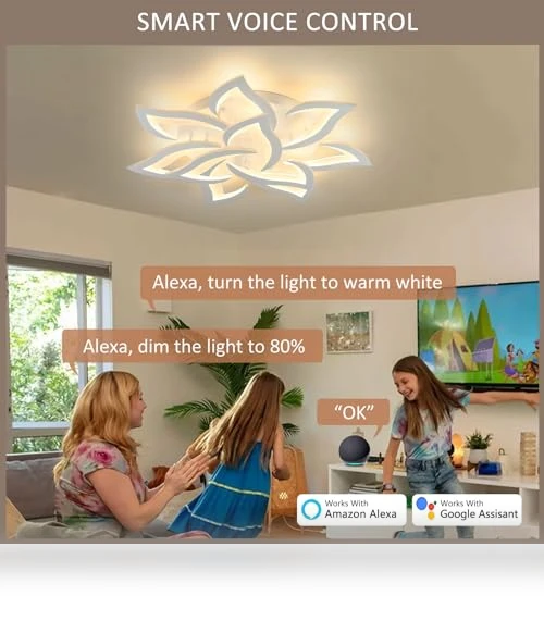 Smart Ceiling Light Fixture — Overhead Lighting, SKY ANGLE