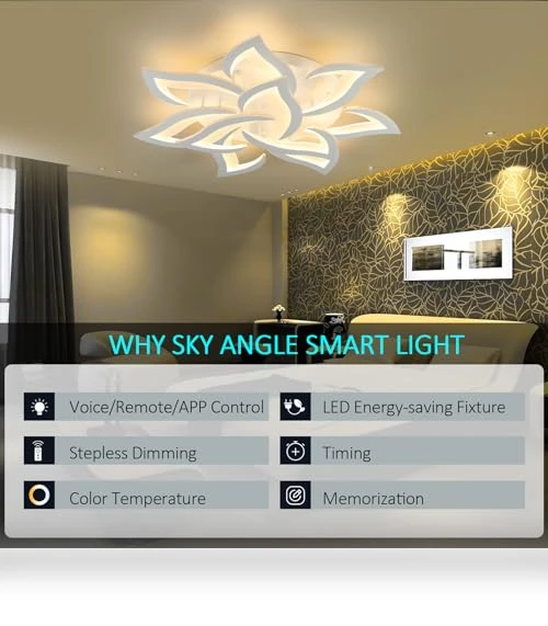 Smart Ceiling Light Fixture — Overhead Lighting, SKY ANGLE