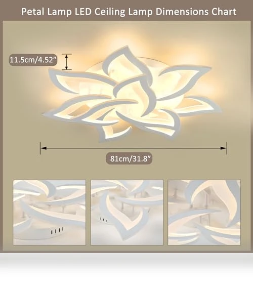 Smart Ceiling Light Fixture — Overhead Lighting, SKY ANGLE