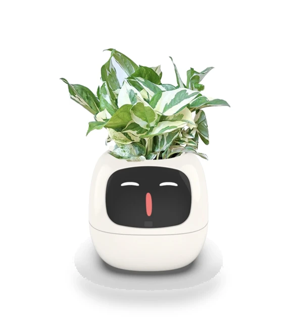 Smart Ivy Pot with LED Screen — Garden Planters, HOGREL