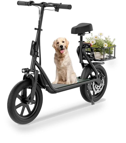 Electric Scooter — Electric Self-Balancing Scooters, Roinside