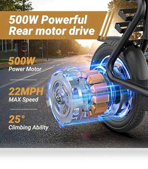 Electric Scooter — Electric Self-Balancing Scooters, Roinside