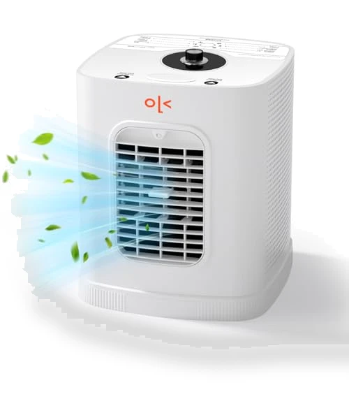 Large Room Air Purifier with Cooling and Humidifying — Activated Carbon Air Purifiers