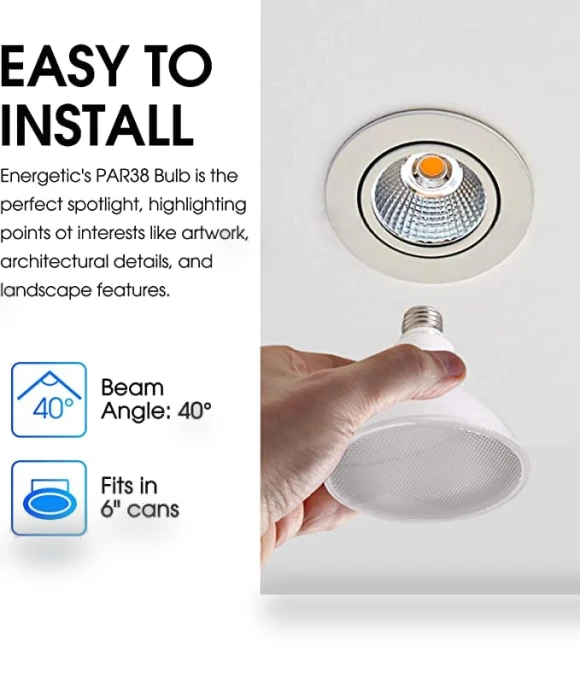 LED Flood Light Bulb — Outdoor Security & Flood Lighting, ENERGETIC SMARTER LIGHTING