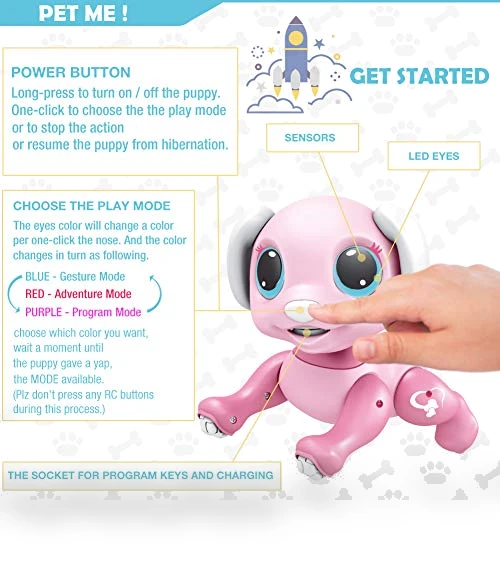 Remote Control Dog Gesture Sensing Toy Robot Pet — Interactive Animal Companions, BIRANCO