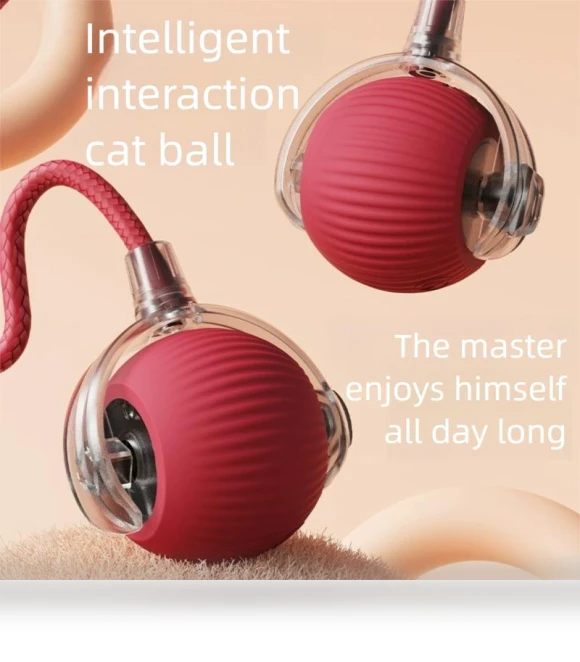 Interactive Cat Toy Ball — Balls, Pet Zooo