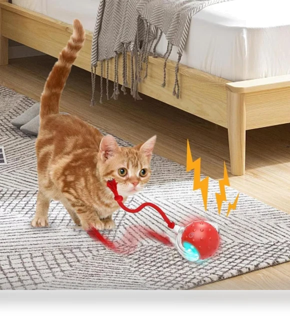 Interactive Self-Moving Electronic Smart Ball for Pets — Interactive Animal Companions, Boyuan