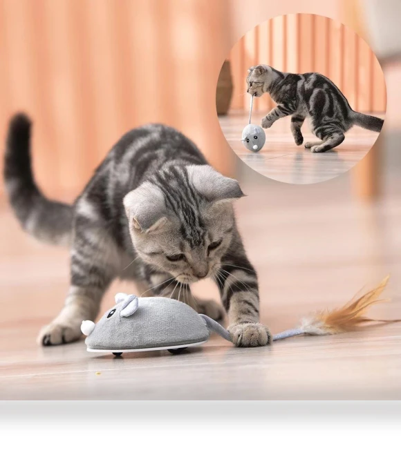 Smart Electric Mouse Toy — Cat Playthings, AIMEI Pet Tools