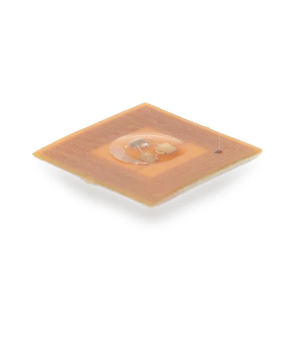 Smart Nail Chip — Wearable Accessories, ZY-Sport-N