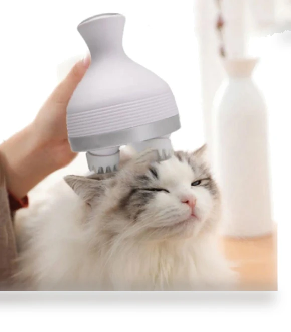 Smart Pet Massage Comb — Combs, Jiaqiinfee