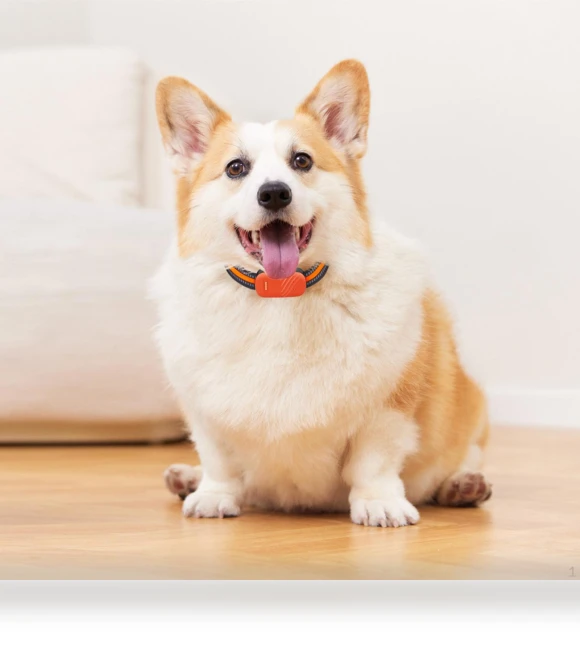 Portable Smart GPS Dog Collar — Trackers, Love DIY