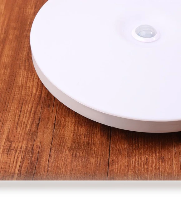 Motion Sensor LED Ceiling Light — Overhead Lighting, Mingusta