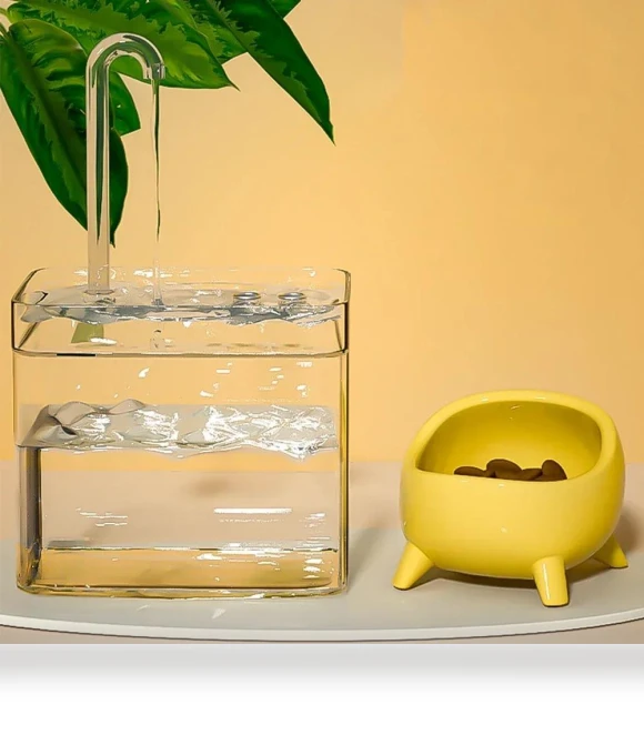 Transparent Cat Water Fountain — Fountains, gaodaidecoe