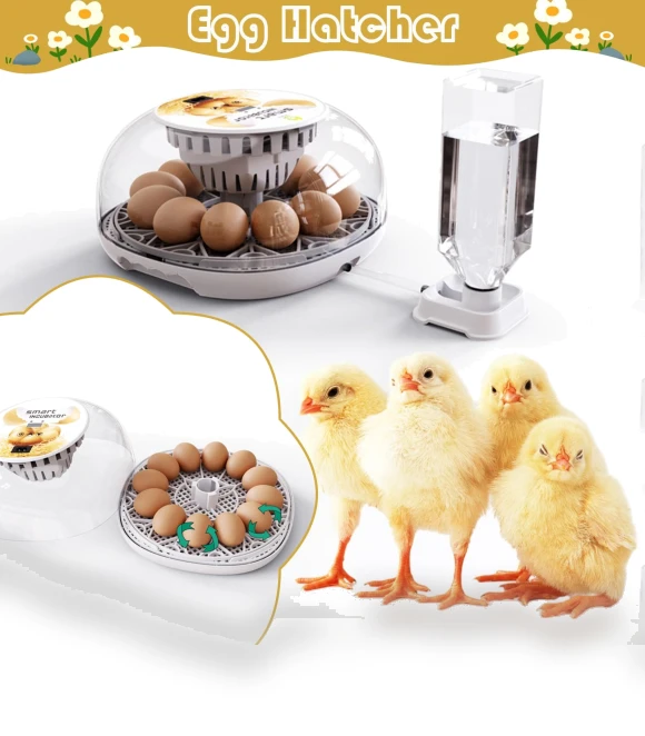 Automatic Egg Turner for Hatching — Egg Trays, Excellent stuff