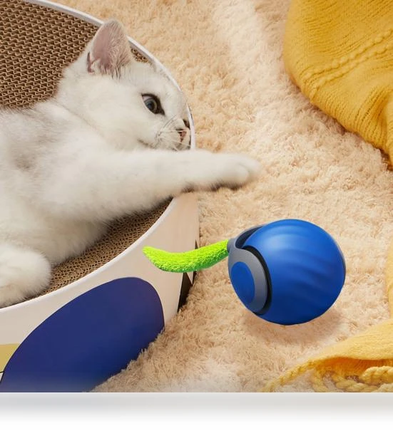 Interactive Cat Toy Ball — Cat Playthings, Pet park