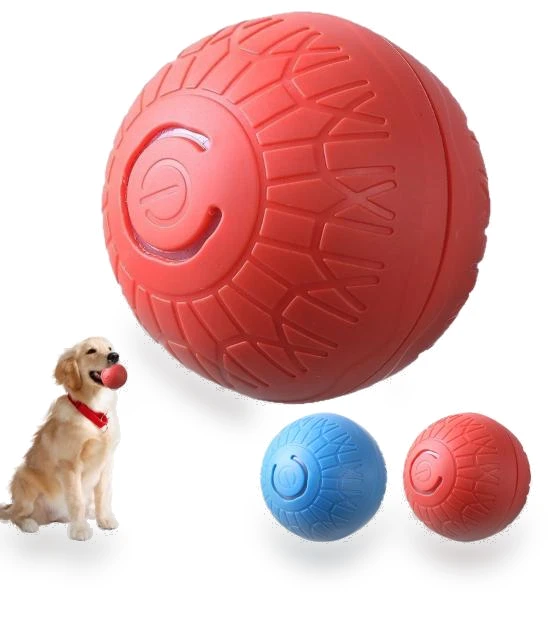 Interactive Rolling Toy for Dogs — Toys, dahaixin