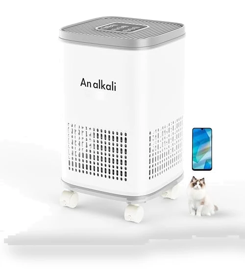 Large Room Air Purifier with HEPA and AOP Alkali Bucket — Activated Carbon Air Purifiers, BWS Alkali Inc.