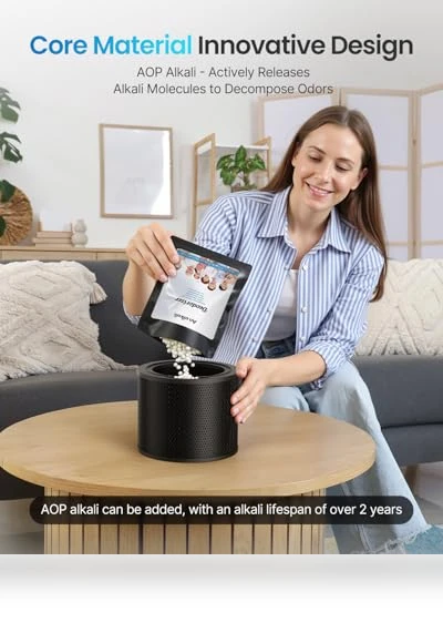 Large Room Air Purifier with HEPA and AOP Alkali Bucket — Activated Carbon Air Purifiers, BWS Alkali Inc.