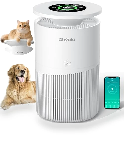 Large Room Air Purifier — HEPA Air Purifiers, Dhyala