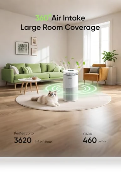 Large Room Air Purifier — HEPA Air Purifiers, Dhyala