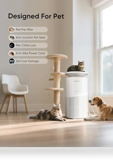 Large Room Air Purifier — HEPA Air Purifiers, Dhyala