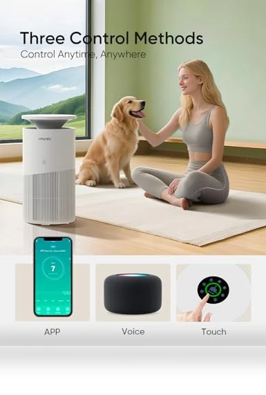 Large Room Air Purifier — HEPA Air Purifiers, Dhyala